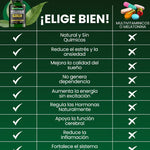 OFERTA+RELAJANTE MUSCULAR🌿 Ashwagandha+ ENVÍO GRATIS